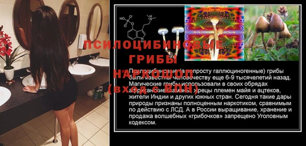 круглые Богданович