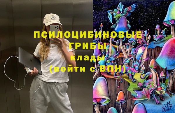 mix Богородск