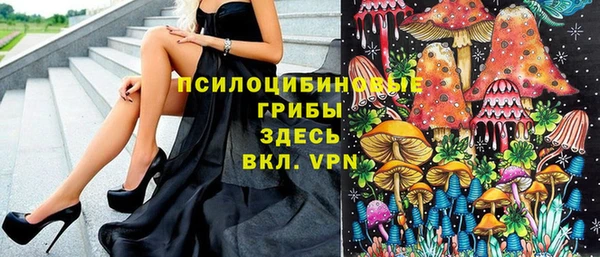 mix Богородск