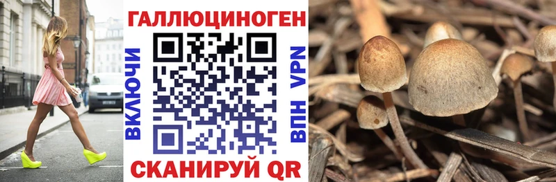 Псилоцибиновые грибы прущие грибы Наволоки